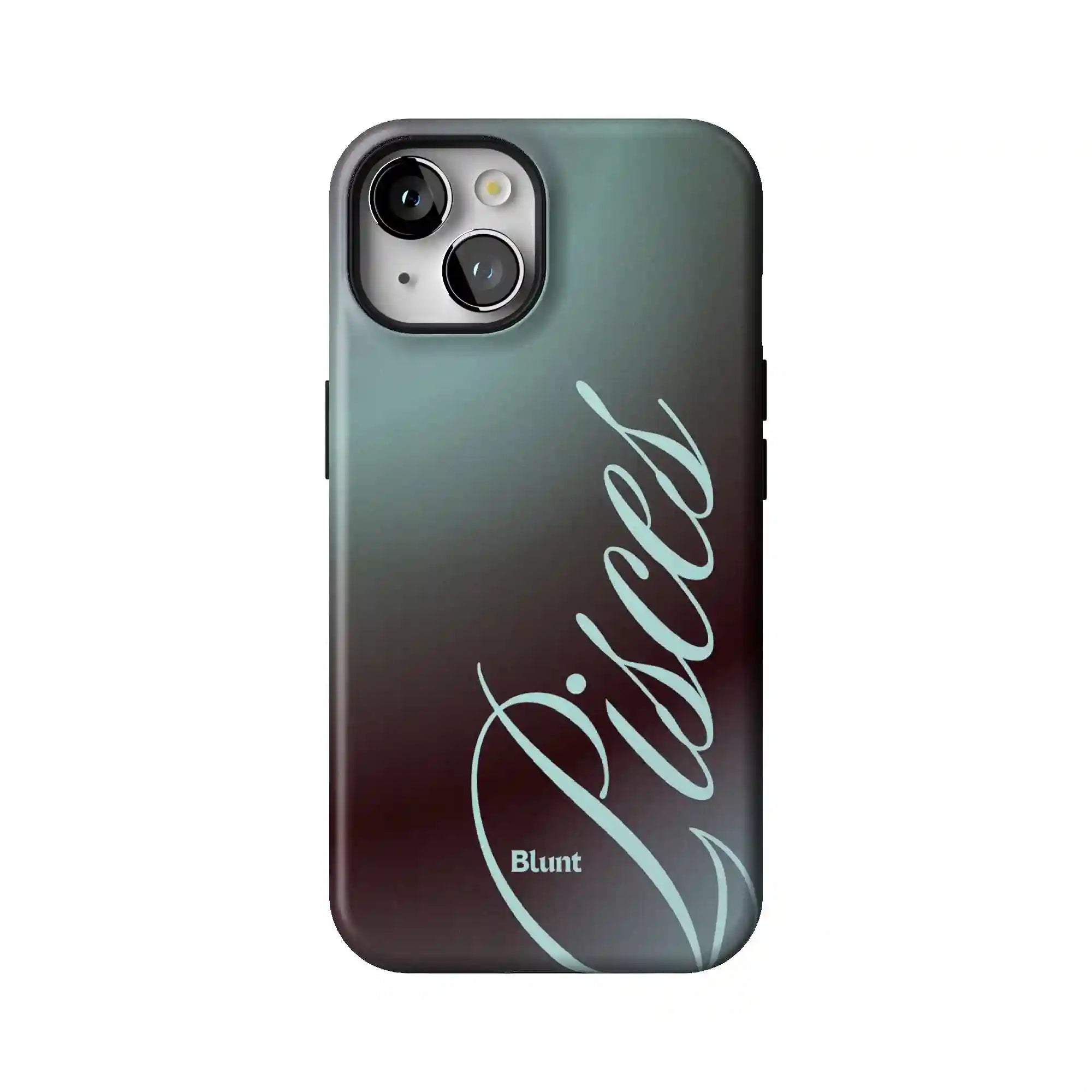 bluntcasesshop.com