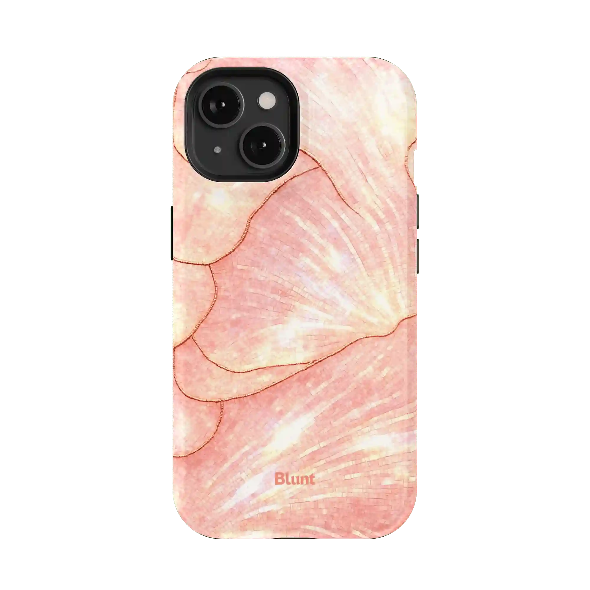 bluntcasesshop.com