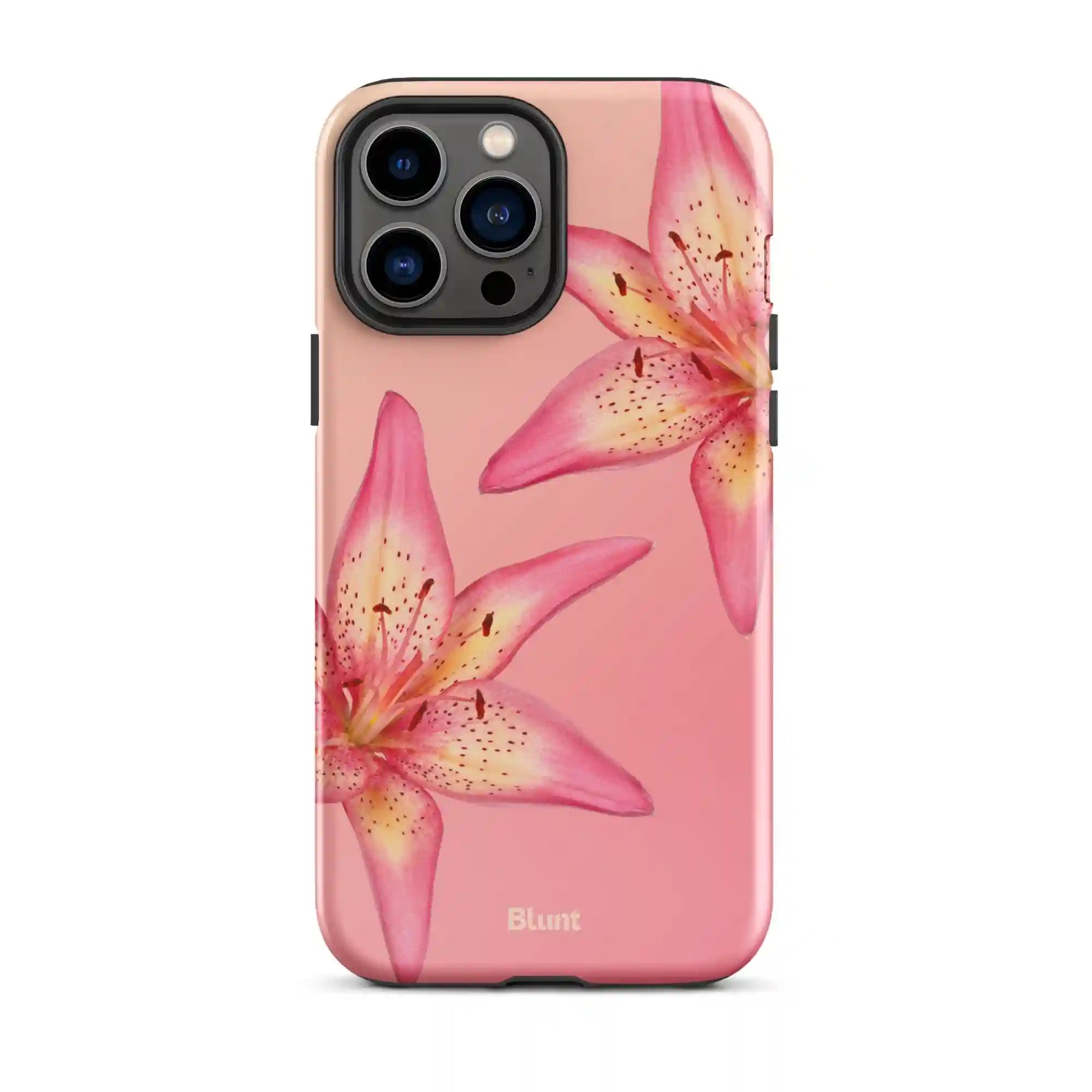 bluntcasesshop.com
