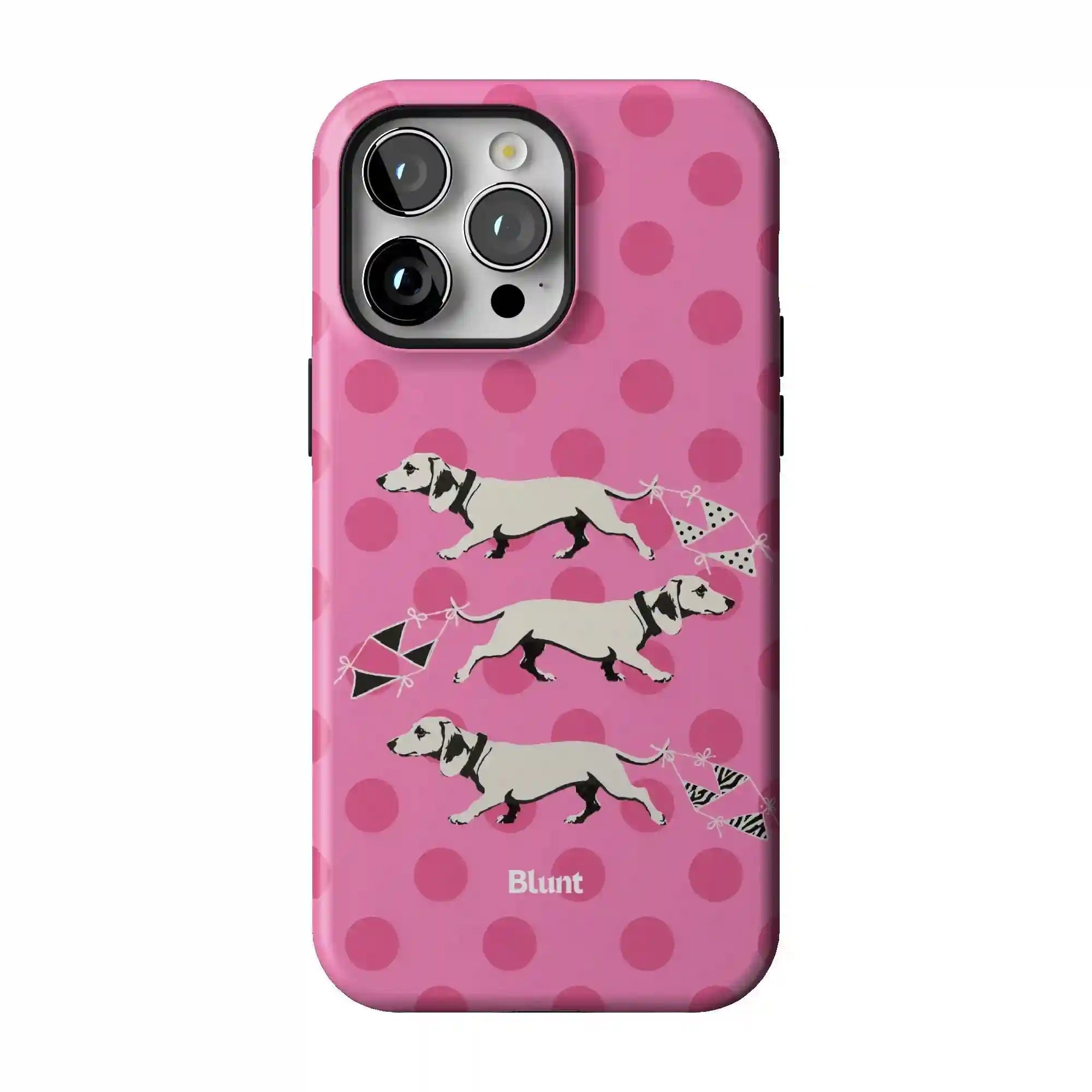 bluntcasesshop.com