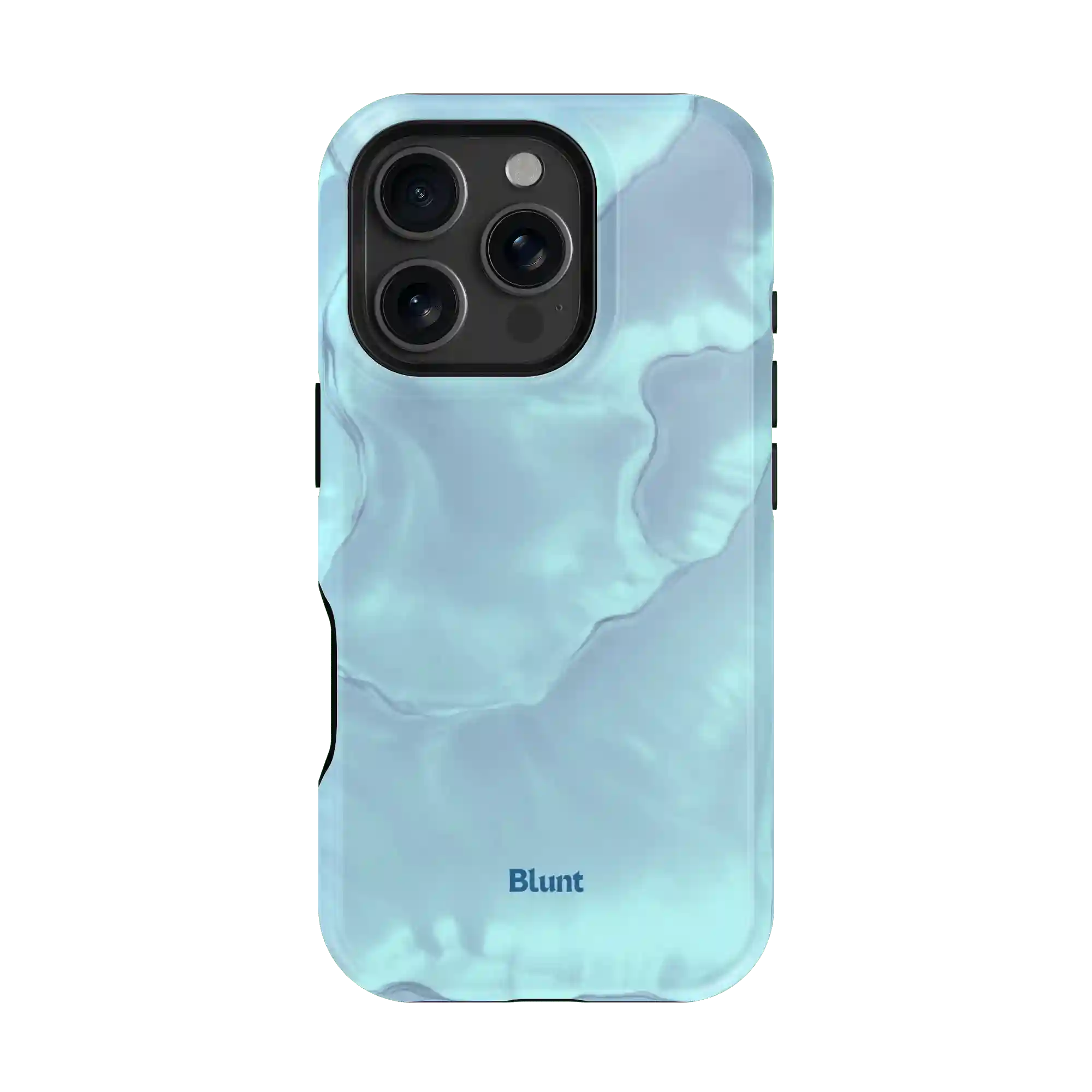 bluntcasesshop.com