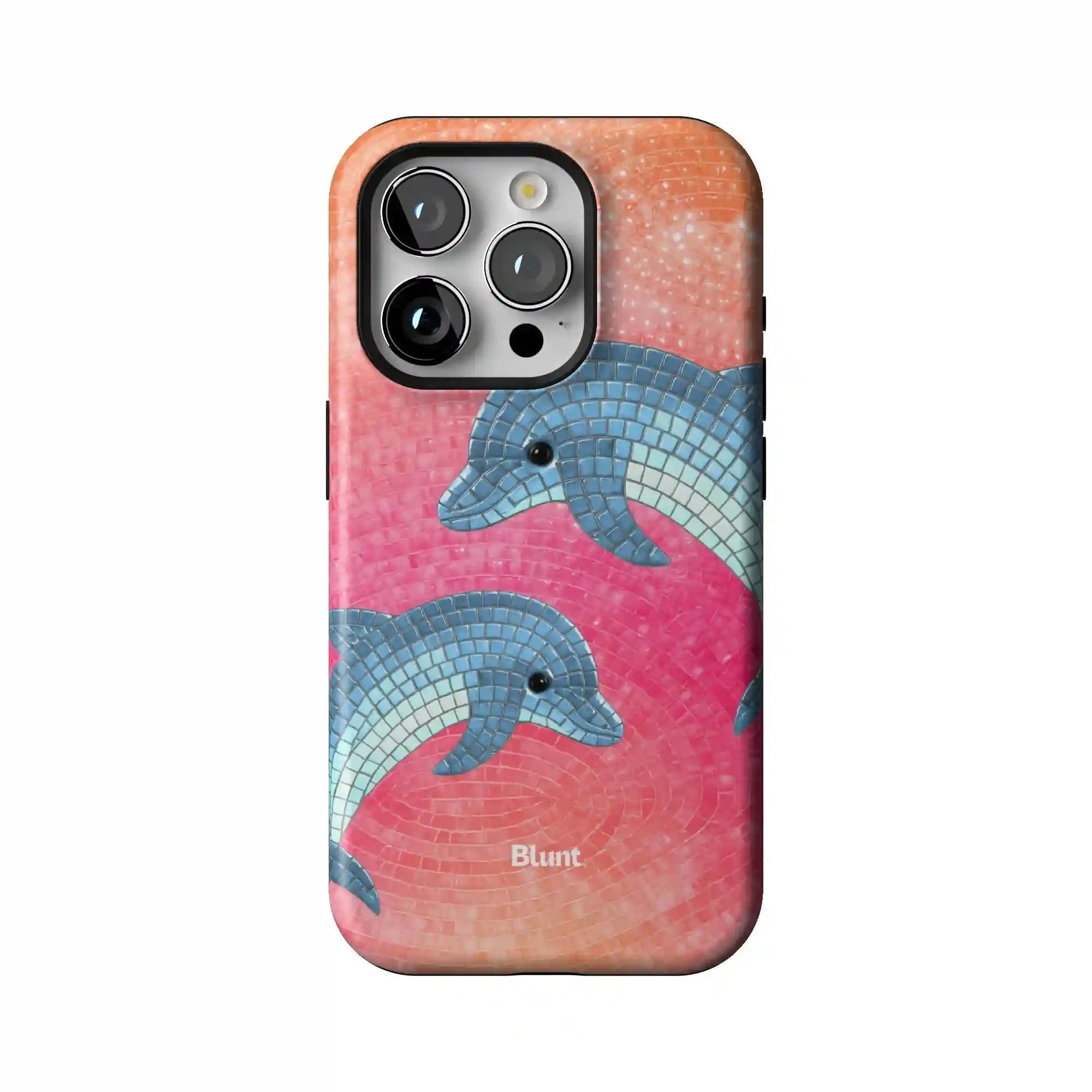 bluntcasesshop.com