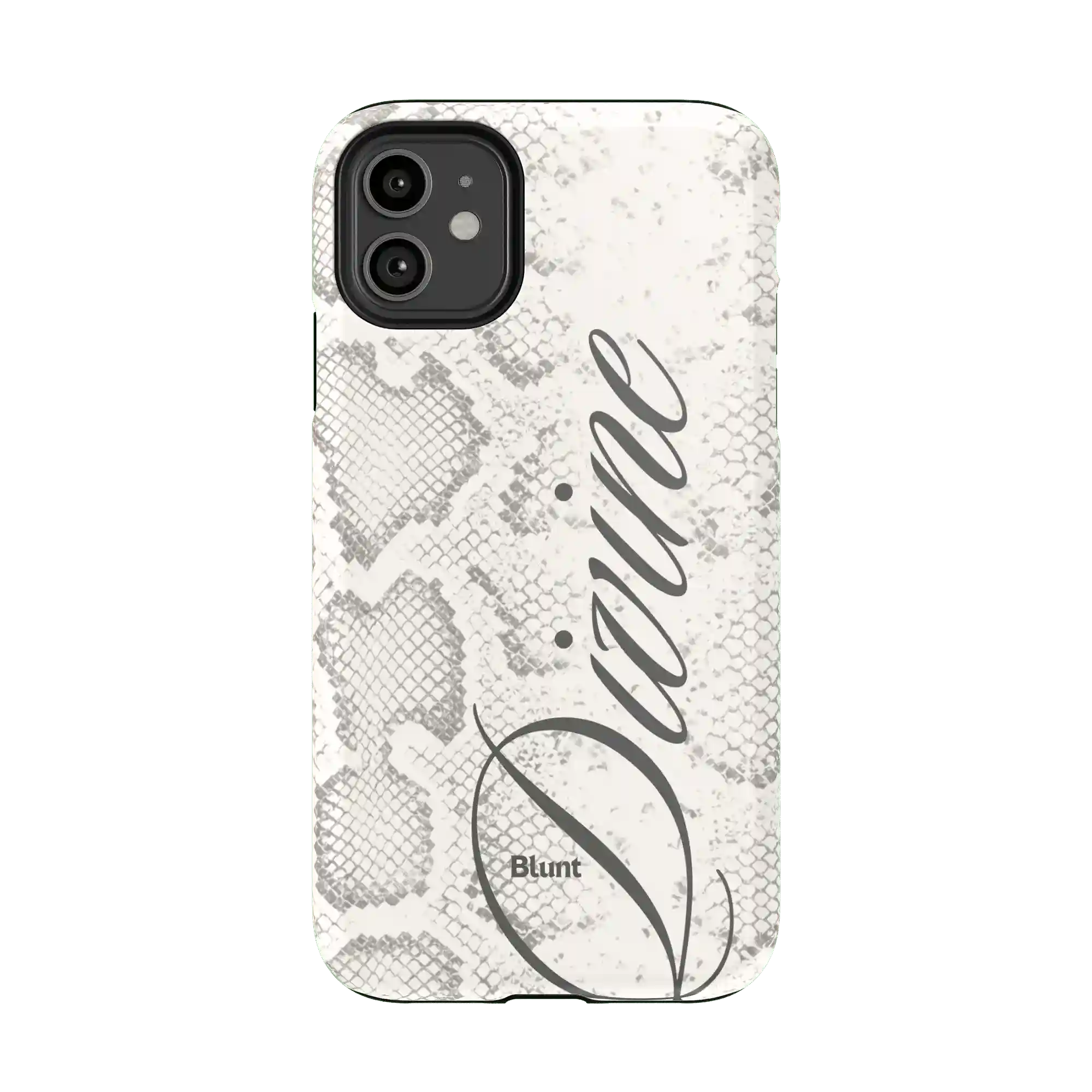 bluntcasesshop.com