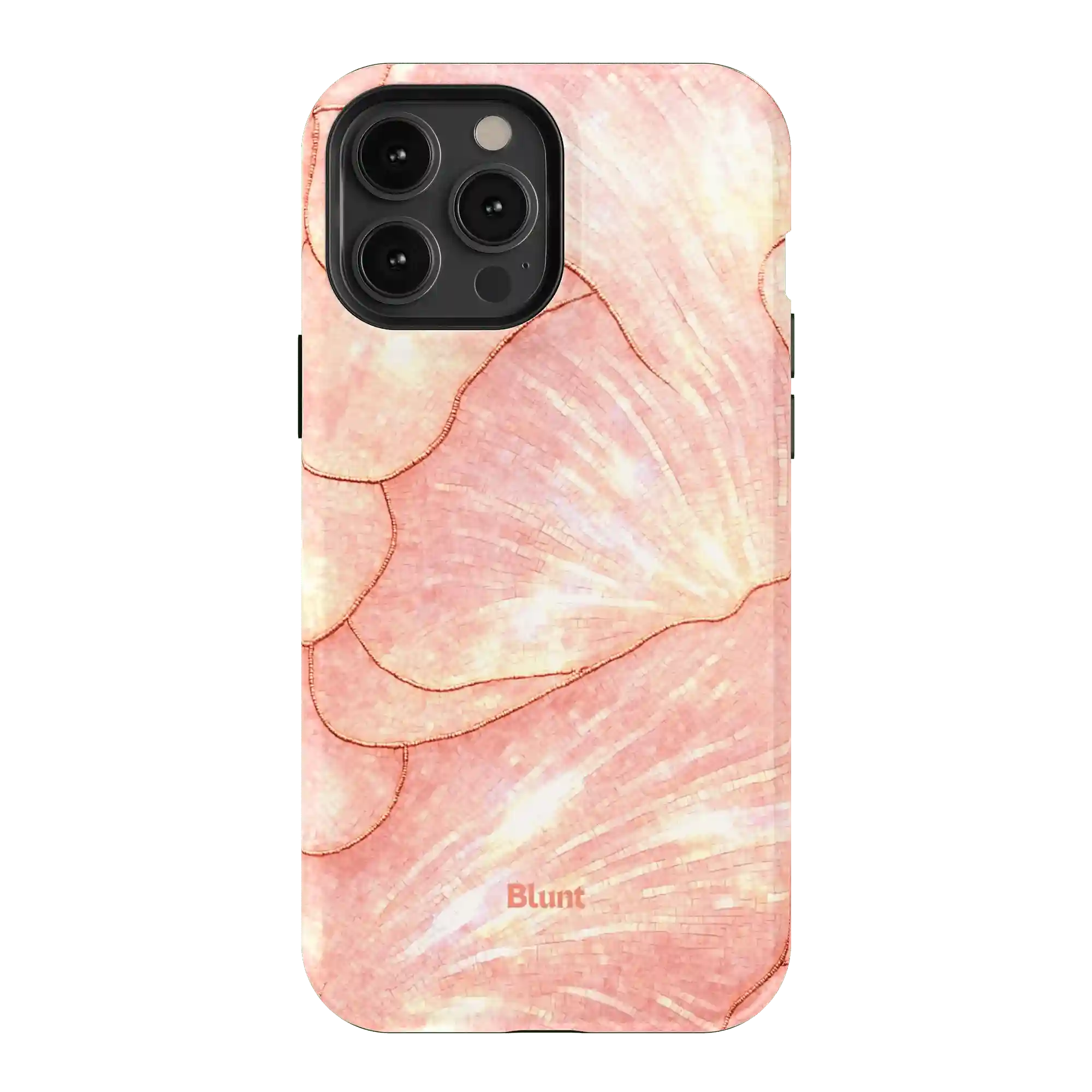 bluntcasesshop.com