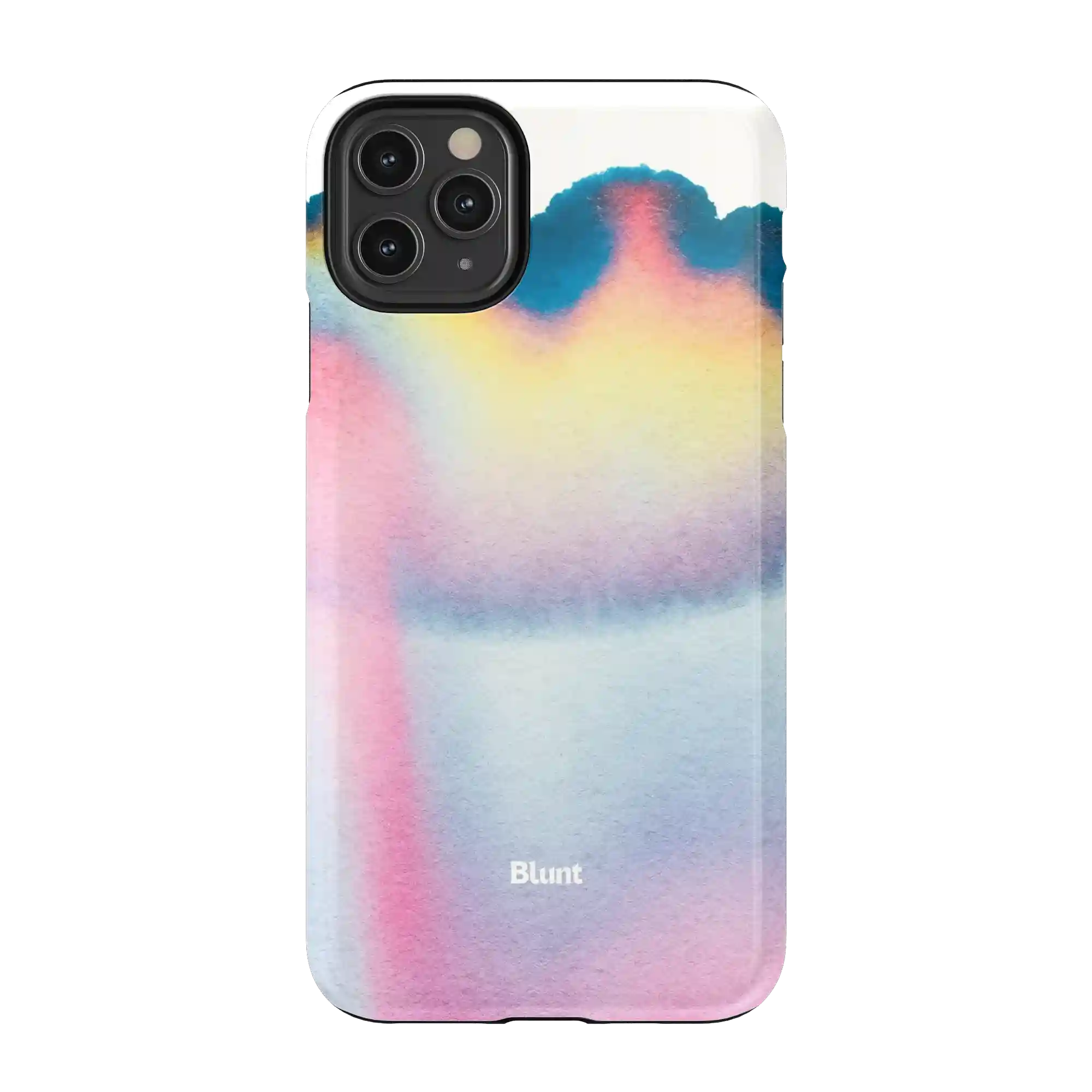 bluntcasesshop.com