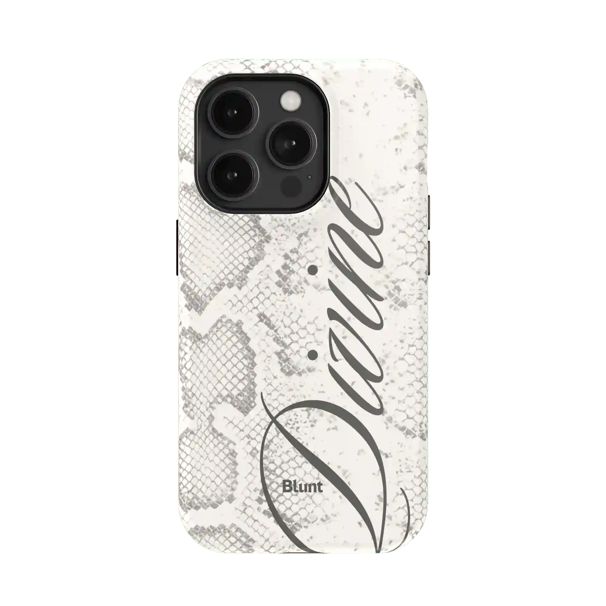 bluntcasesshop.com