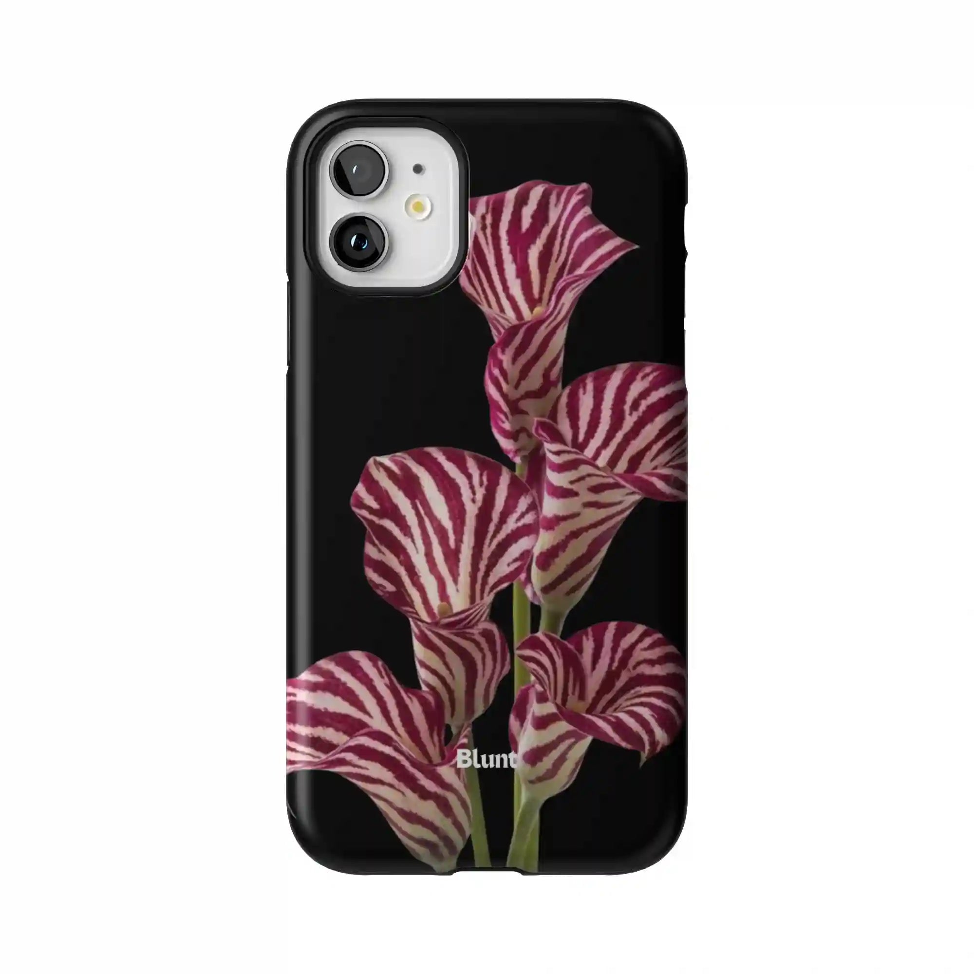 bluntcasesshop.com