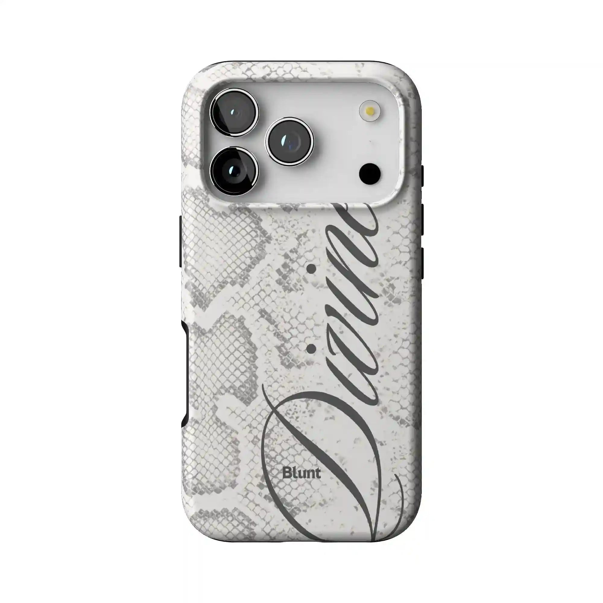 bluntcasesshop.com