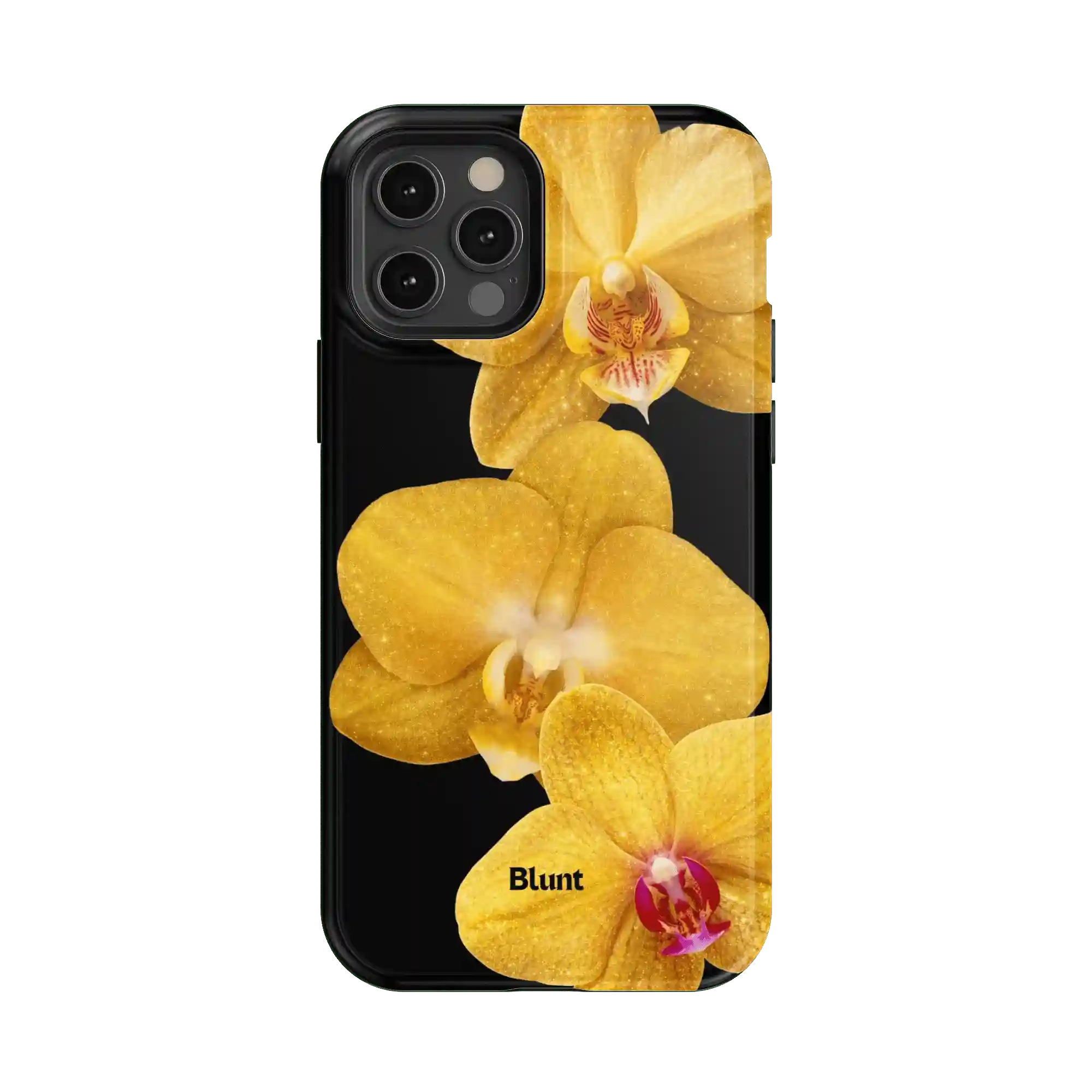 bluntcasesshop.com