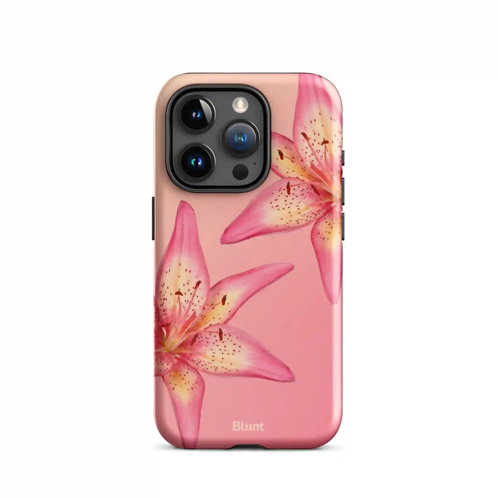 bluntcasesshop.com