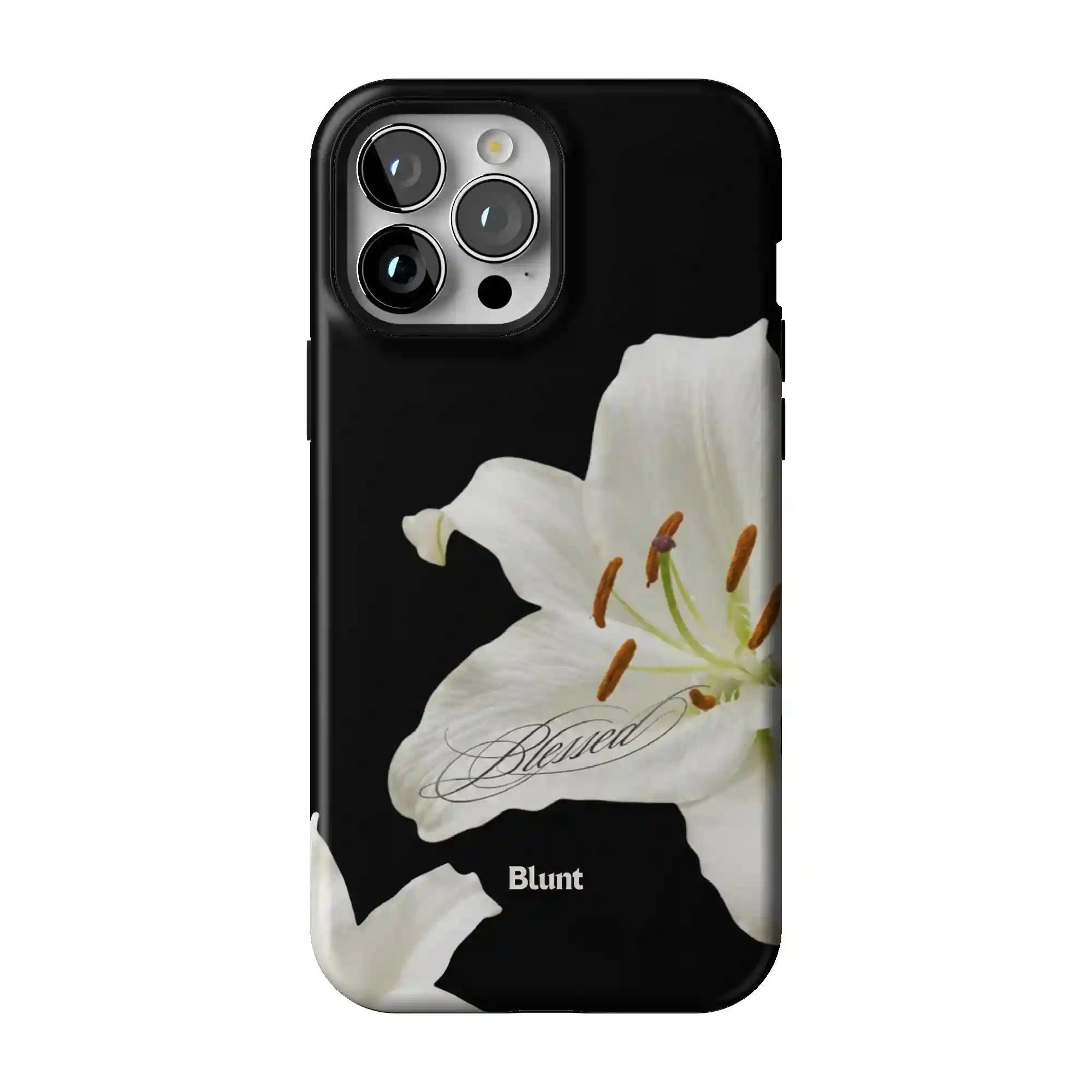 bluntcasesshop.com