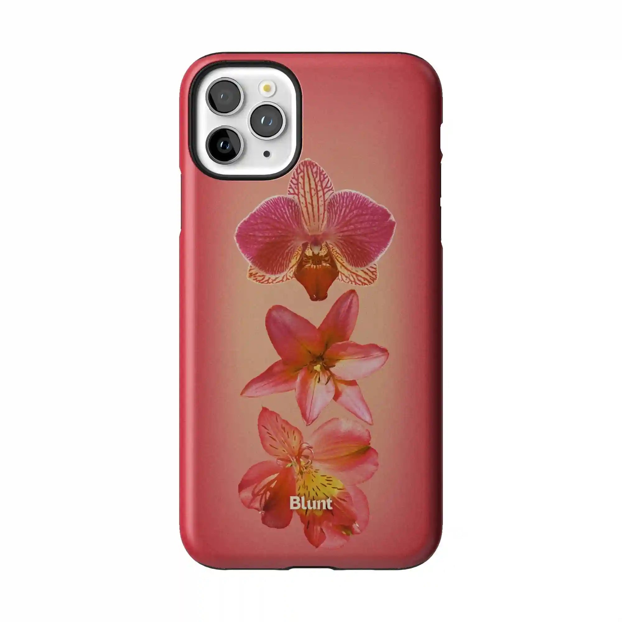 bluntcasesshop.com