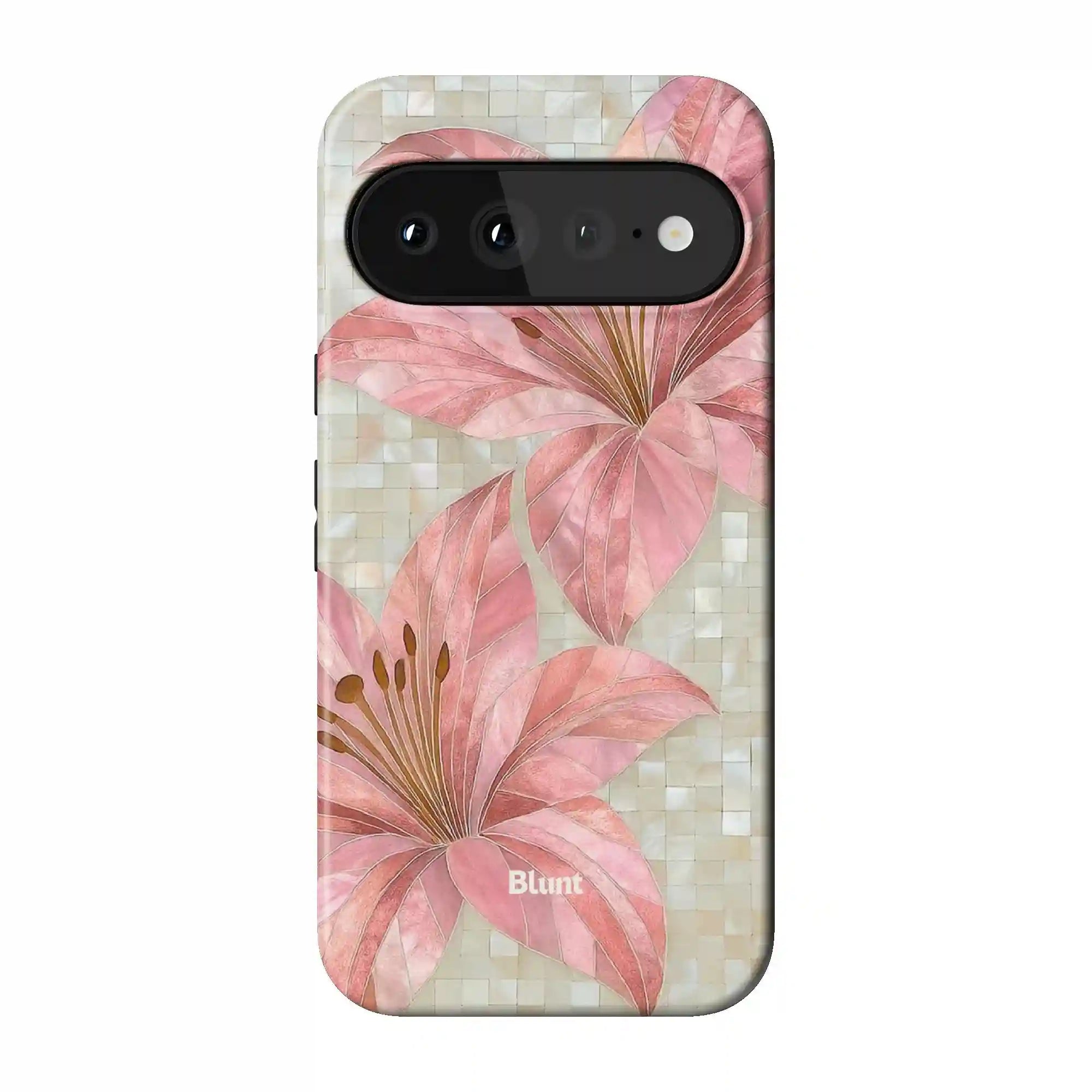 bluntcasesshop.com