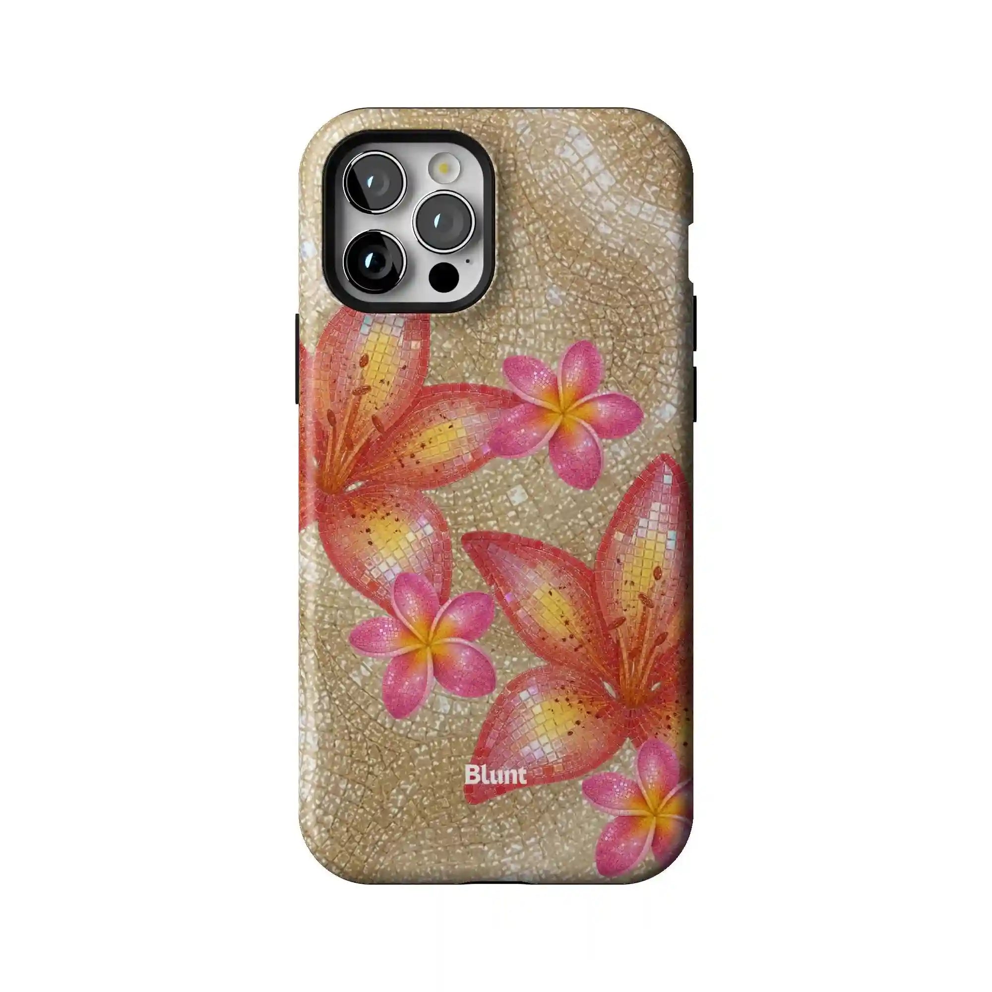 bluntcasesshop.com