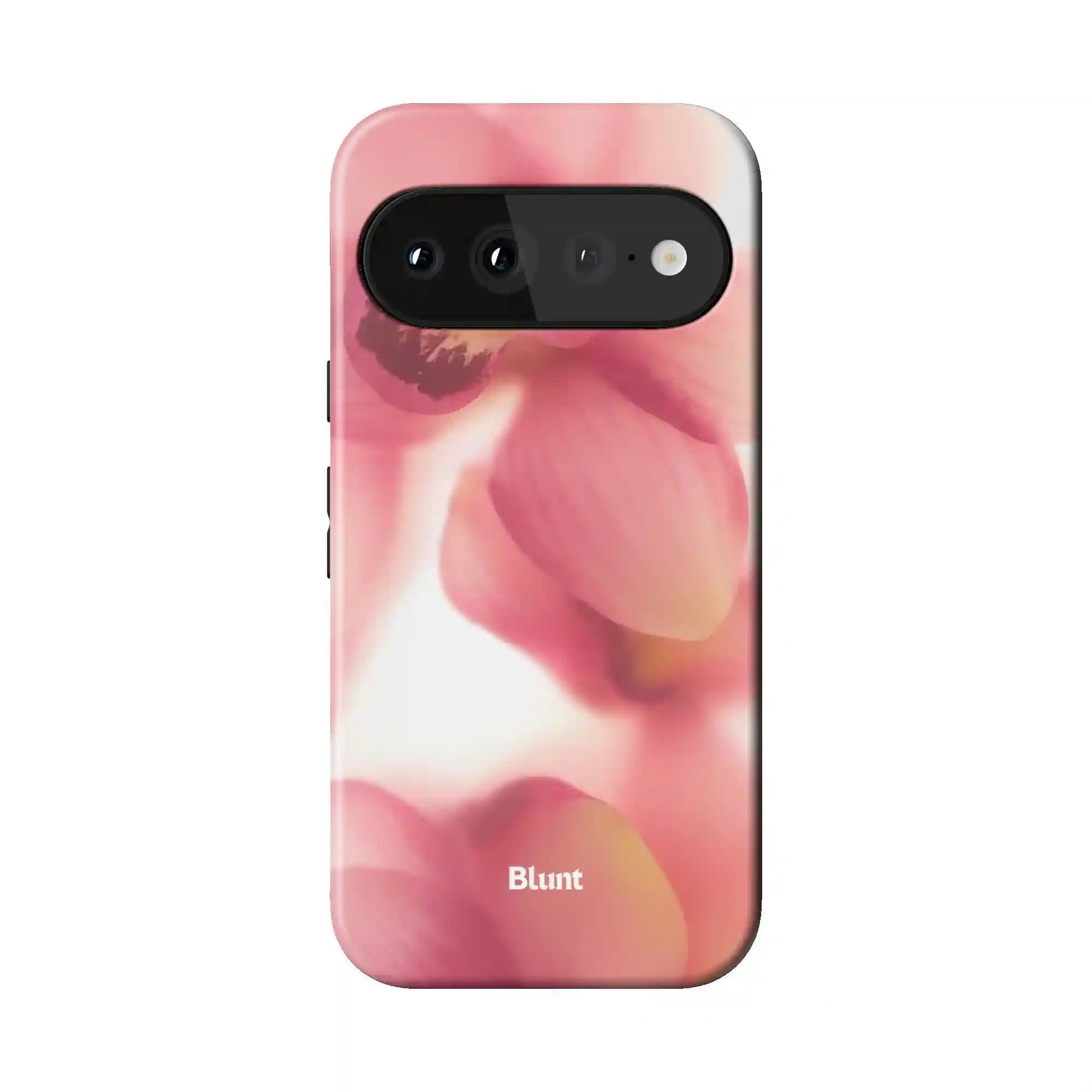 bluntcasesshop.com
