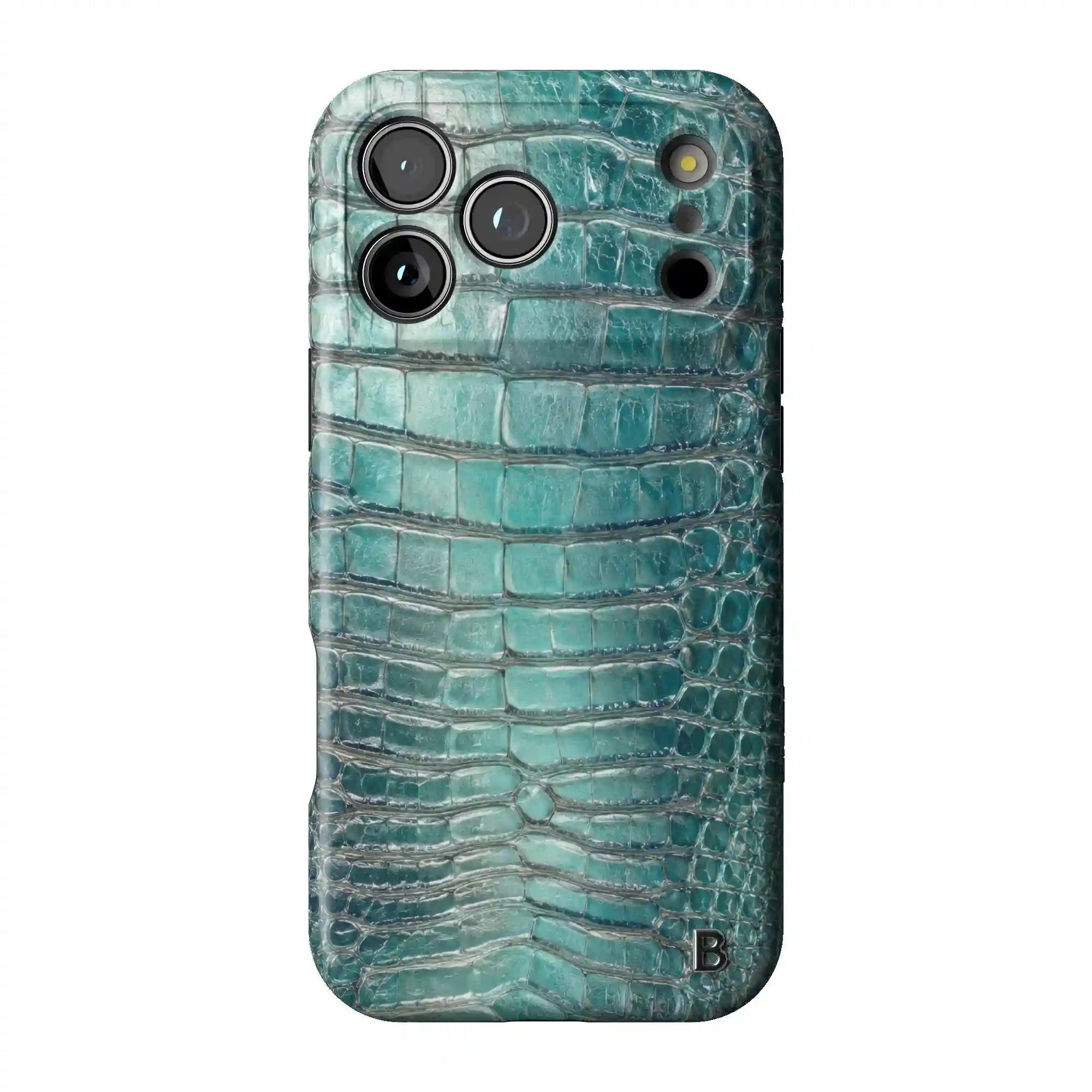 bluntcasesshop.com