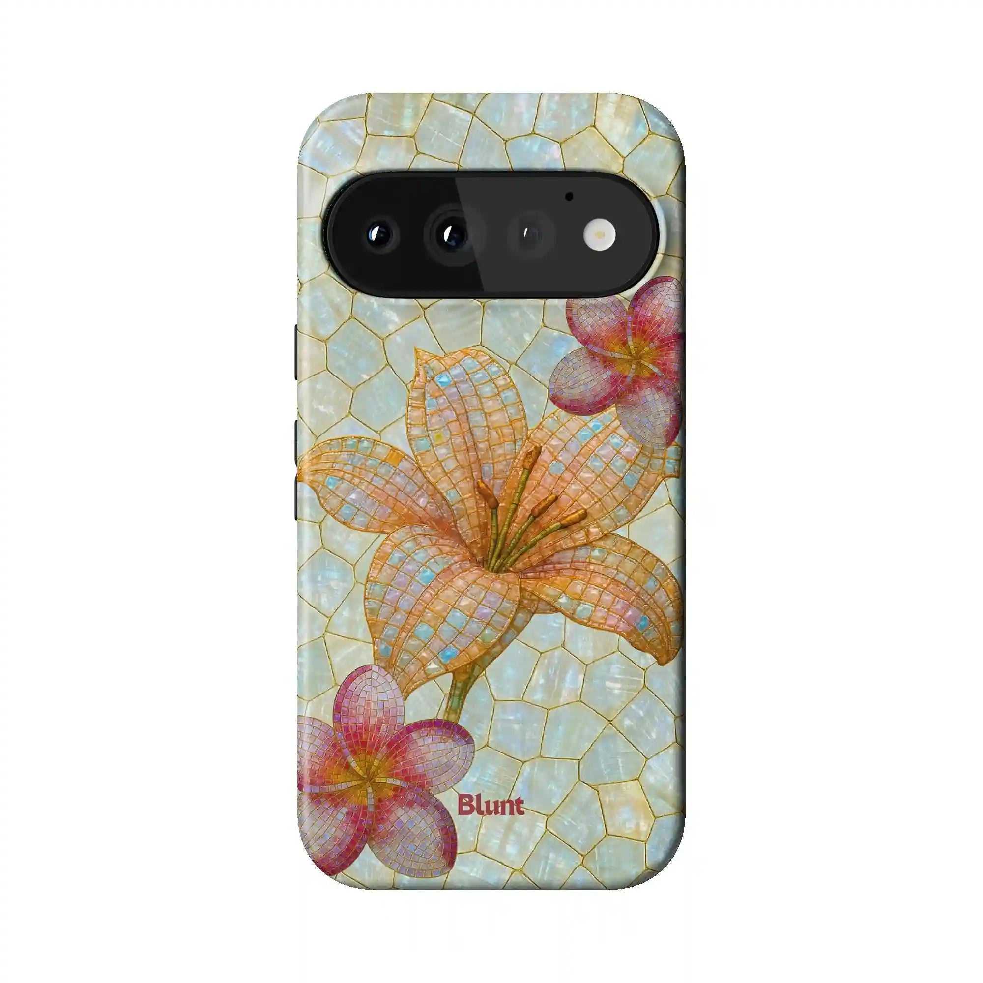 bluntcasesshop.com