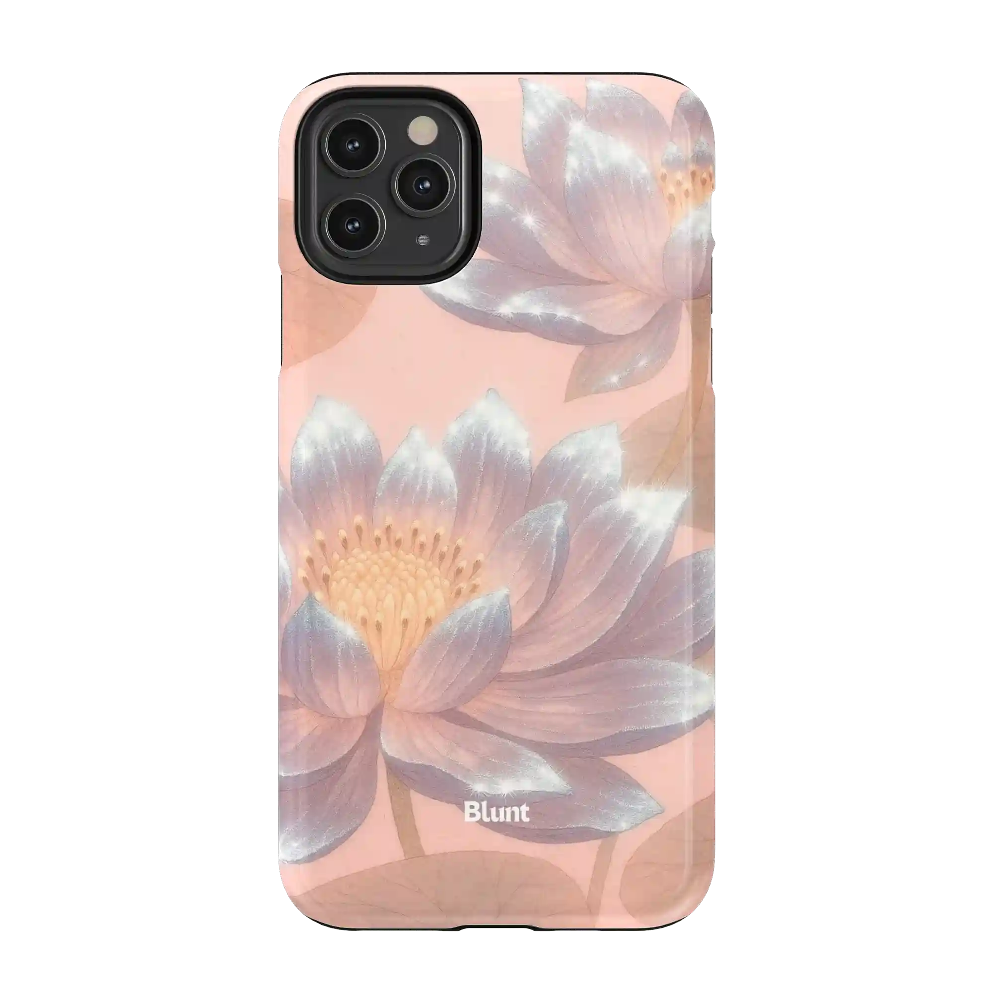 bluntcasesshop.com