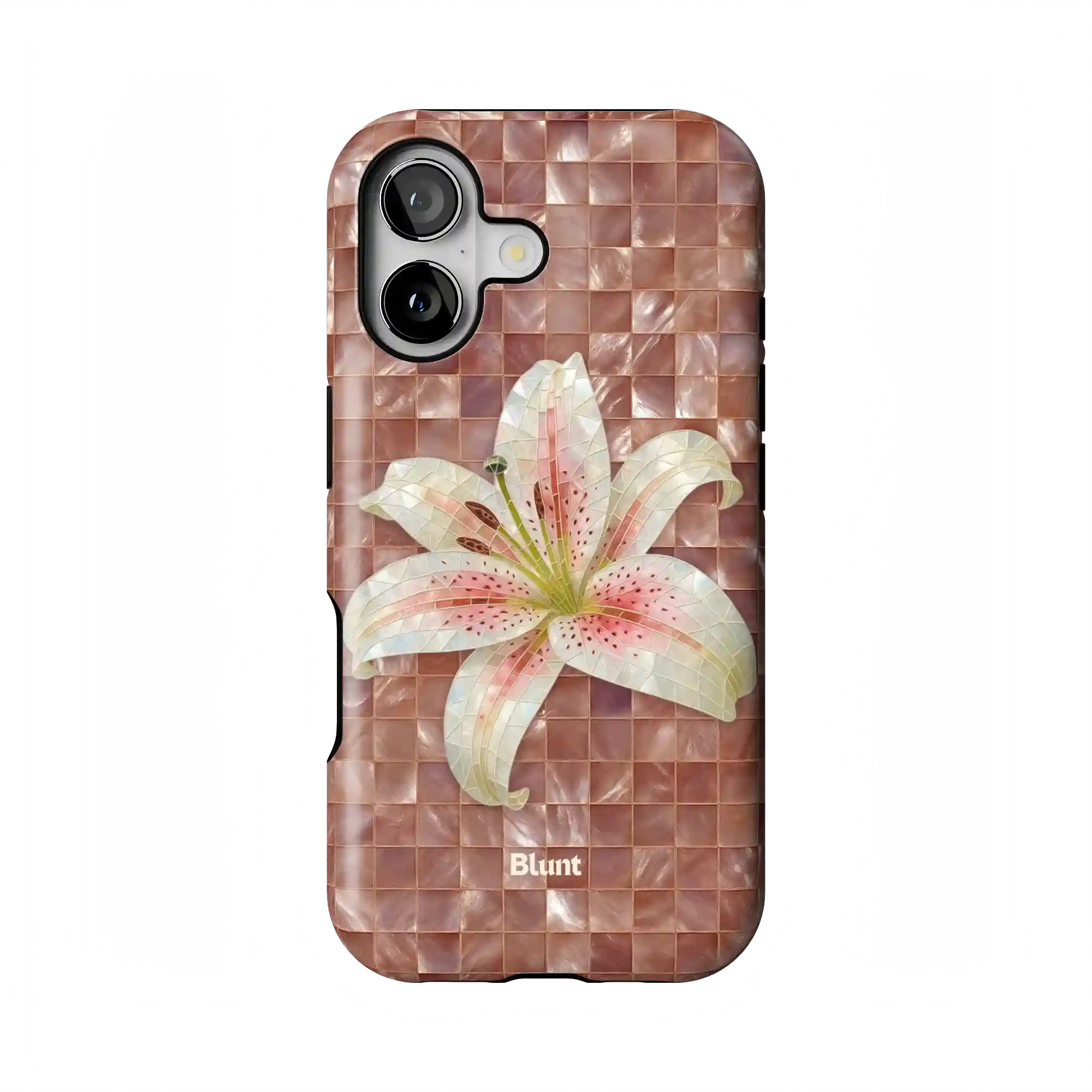 bluntcasesshop.com