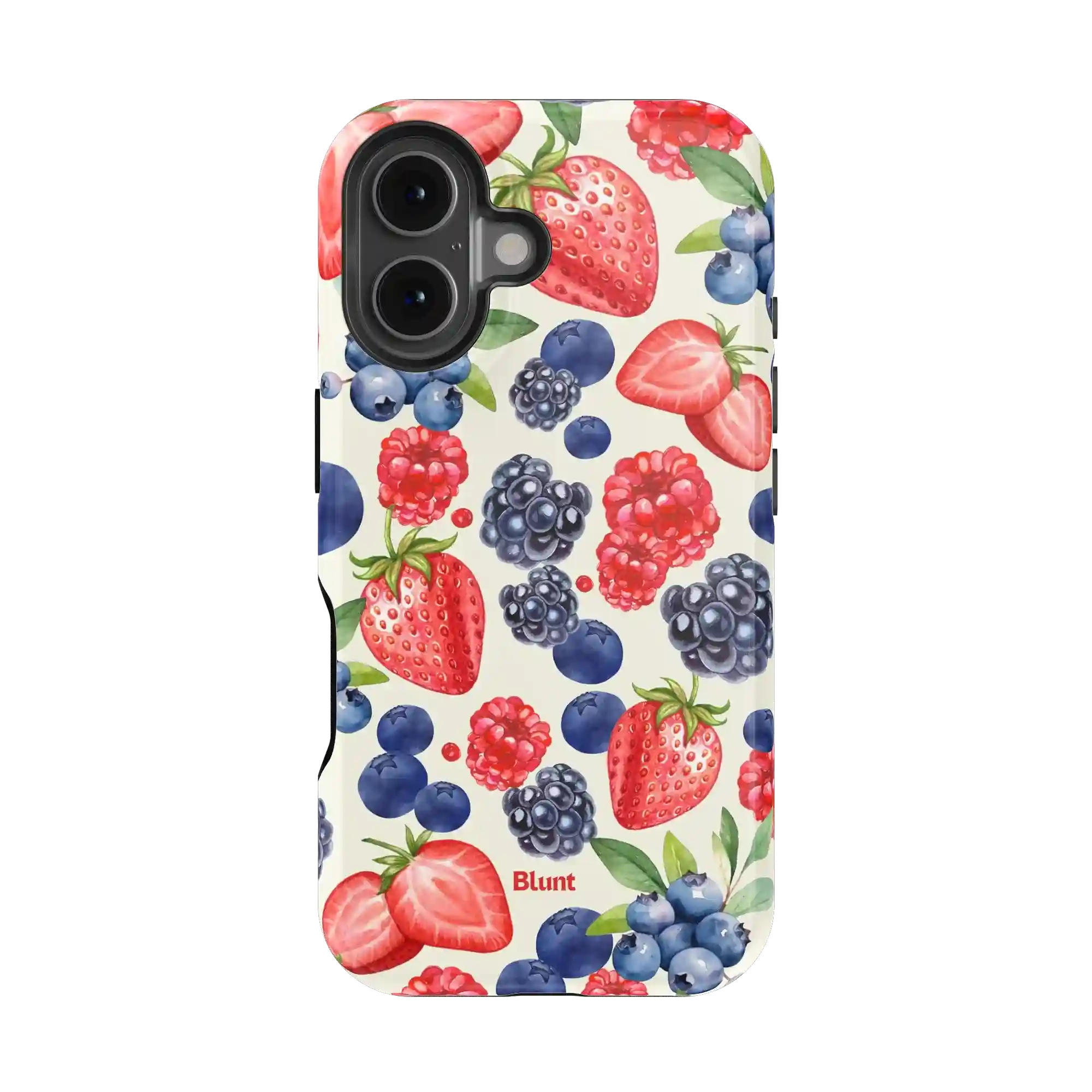 bluntcasesshop.com