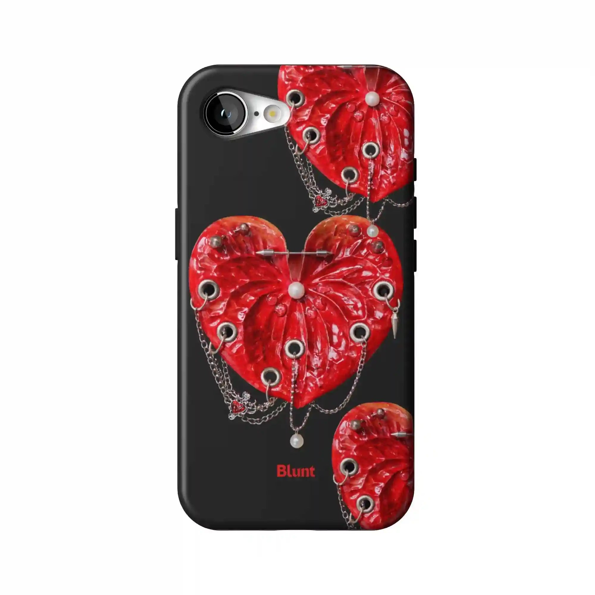 bluntcasesshop.com