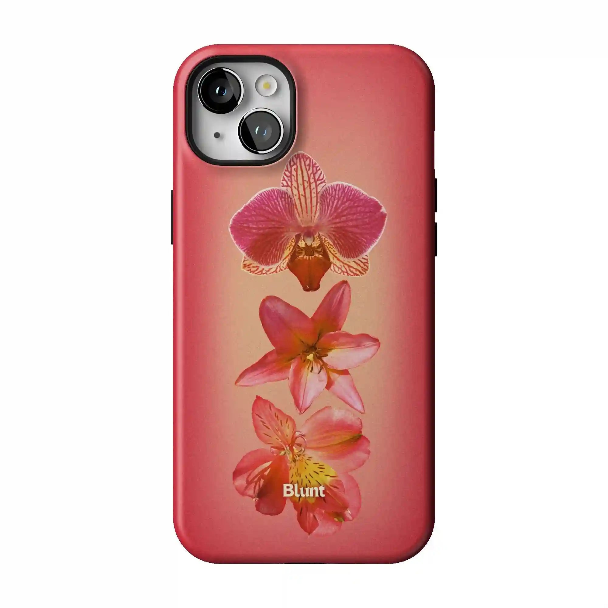 bluntcasesshop.com