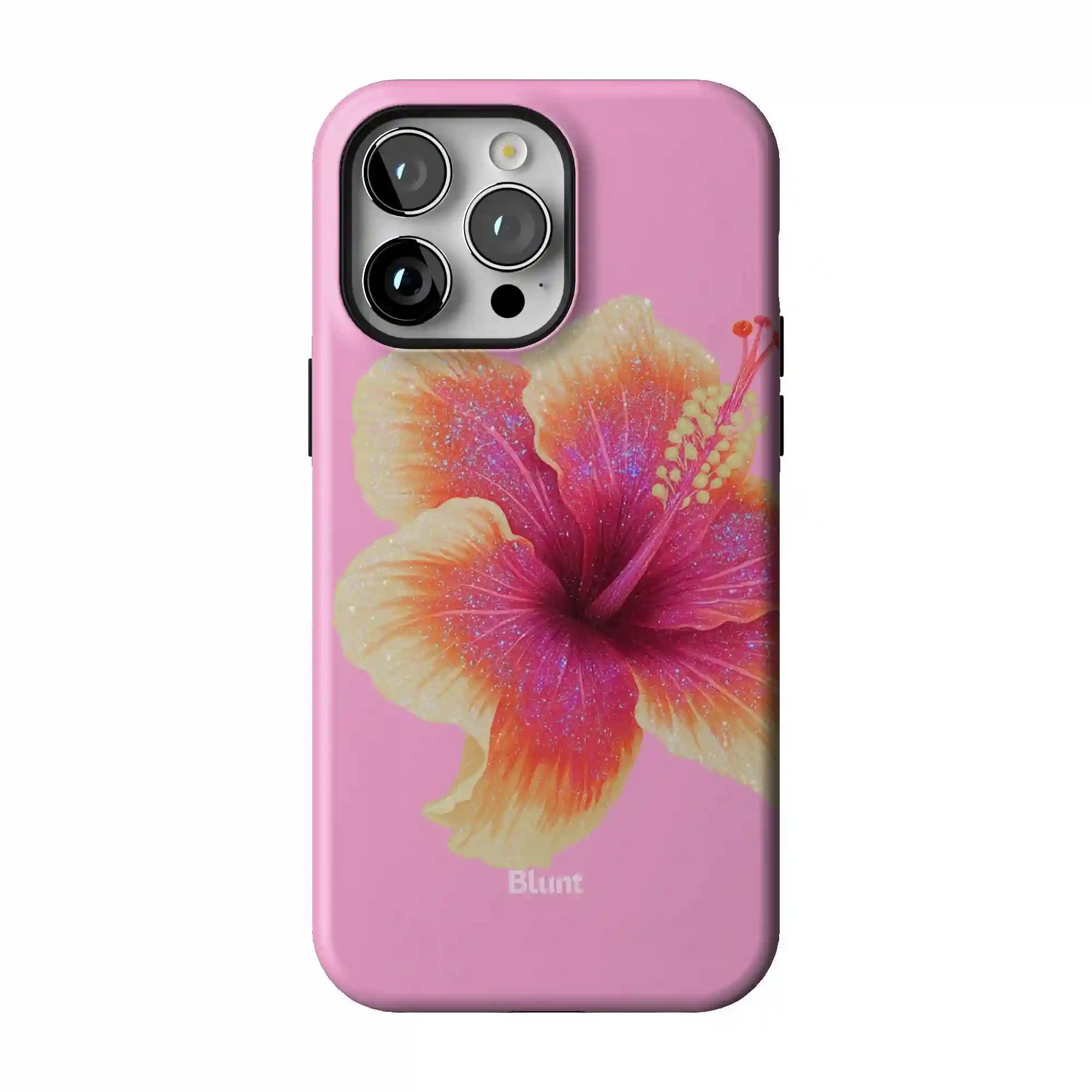 bluntcasesshop.com