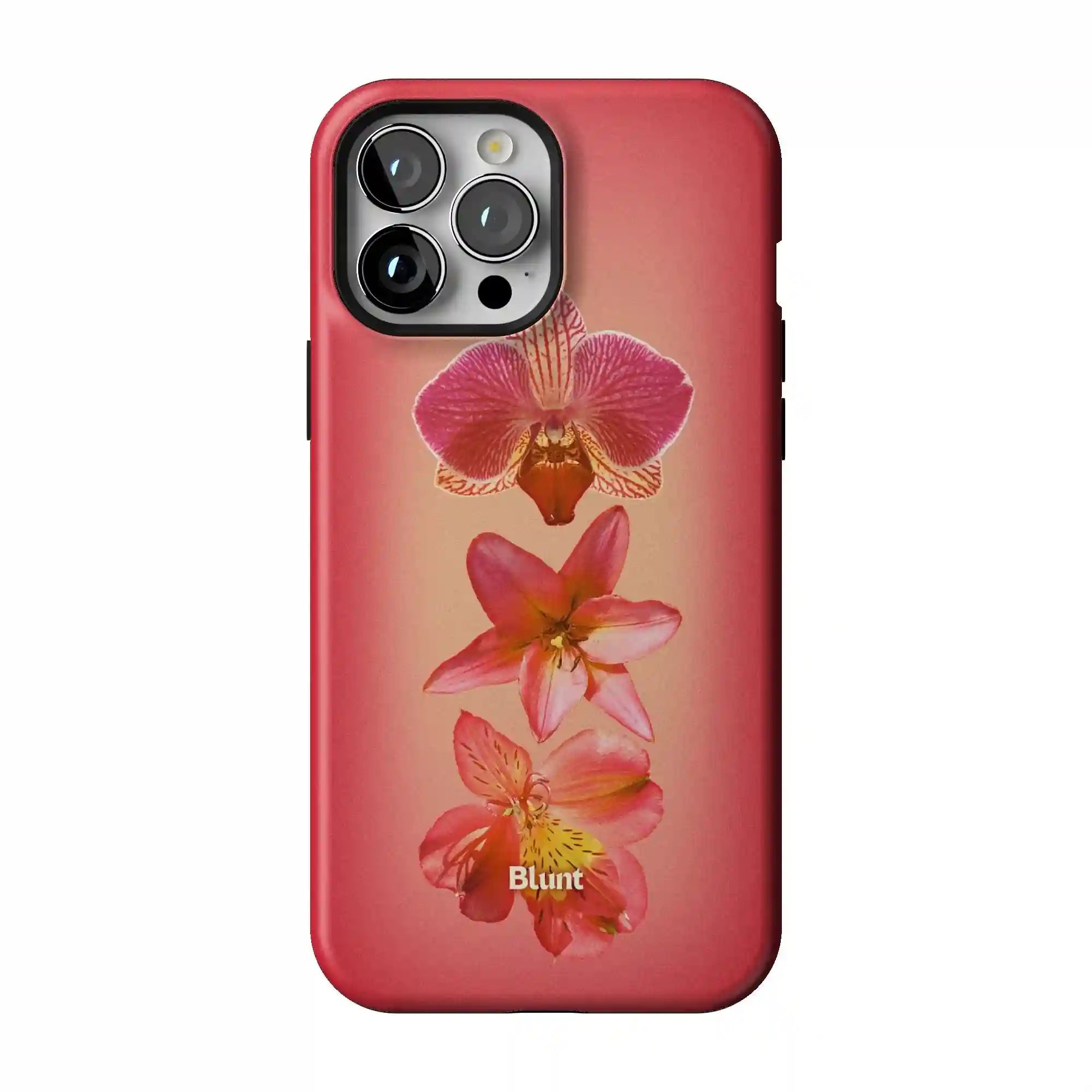 bluntcasesshop.com