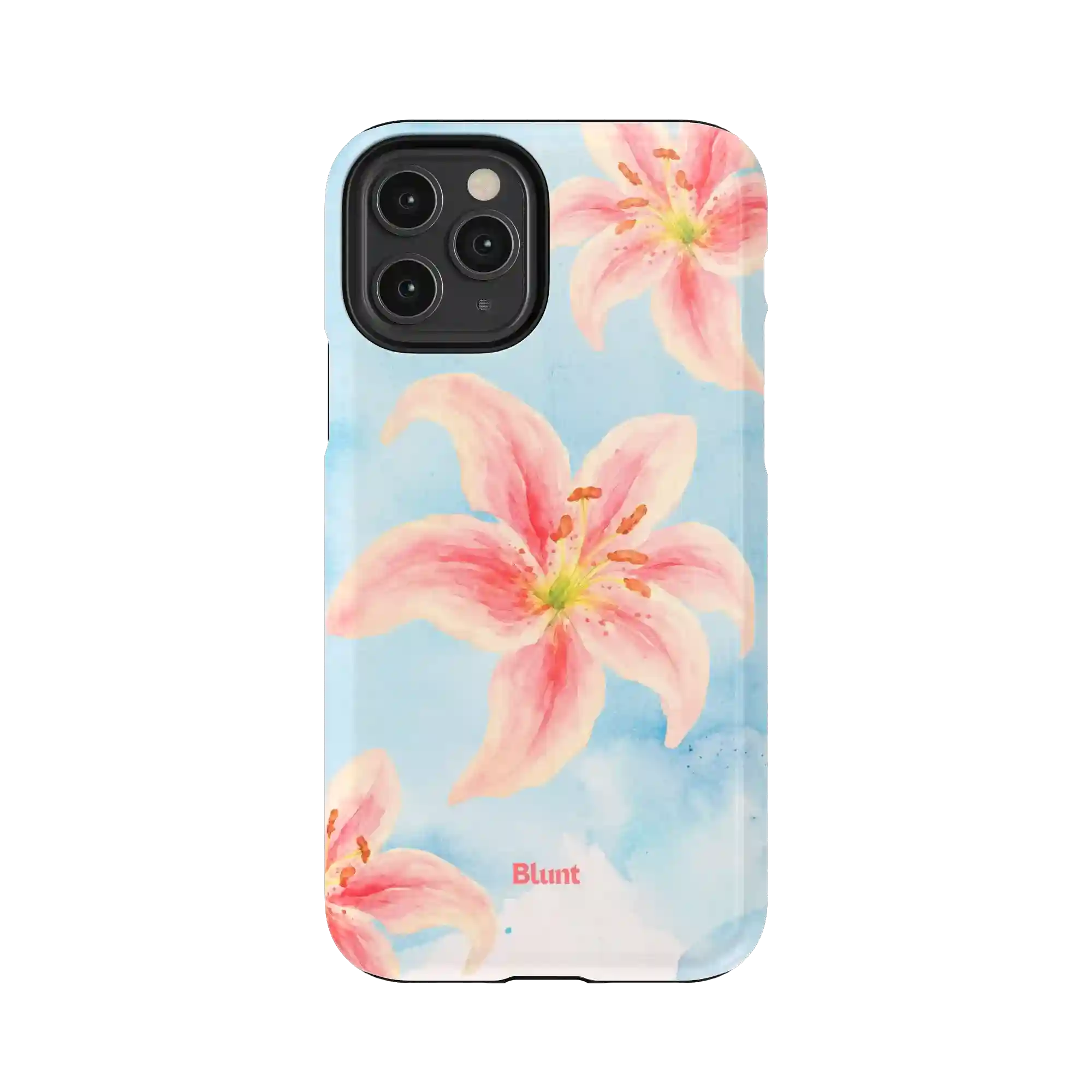 bluntcasesshop.com