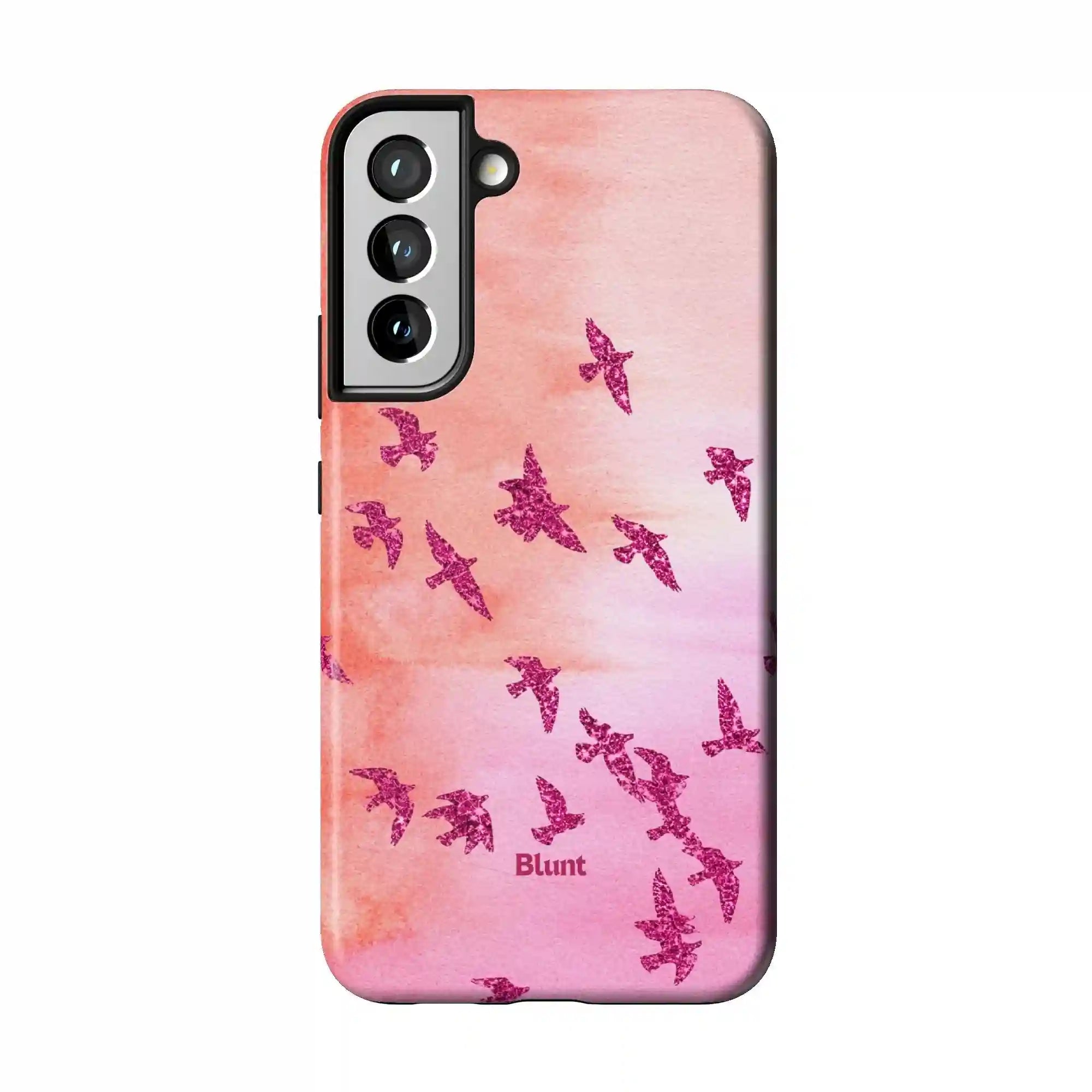 bluntcasesshop.com